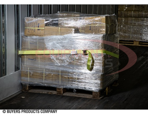 (Buyers) [01070] E-Track Tie-Down with Cambuckle